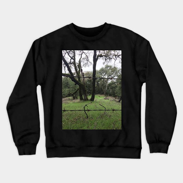 taylor mountain trees Crewneck Sweatshirt by auriel